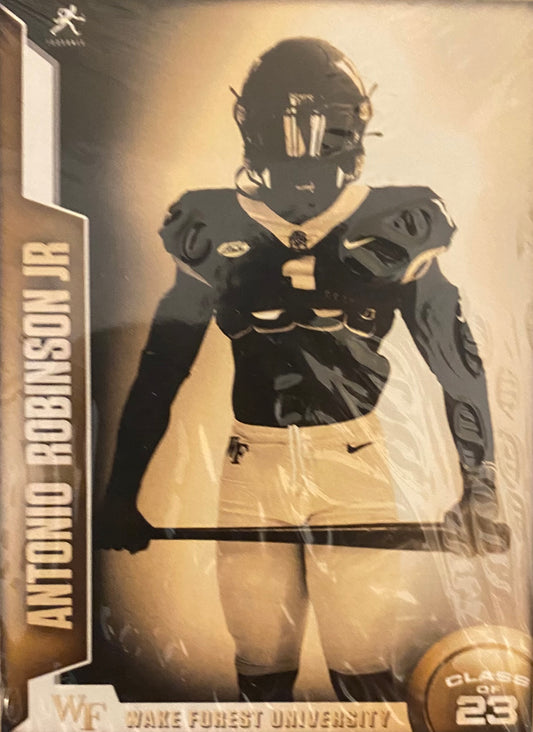 Wake Forest Football x Baseball Card