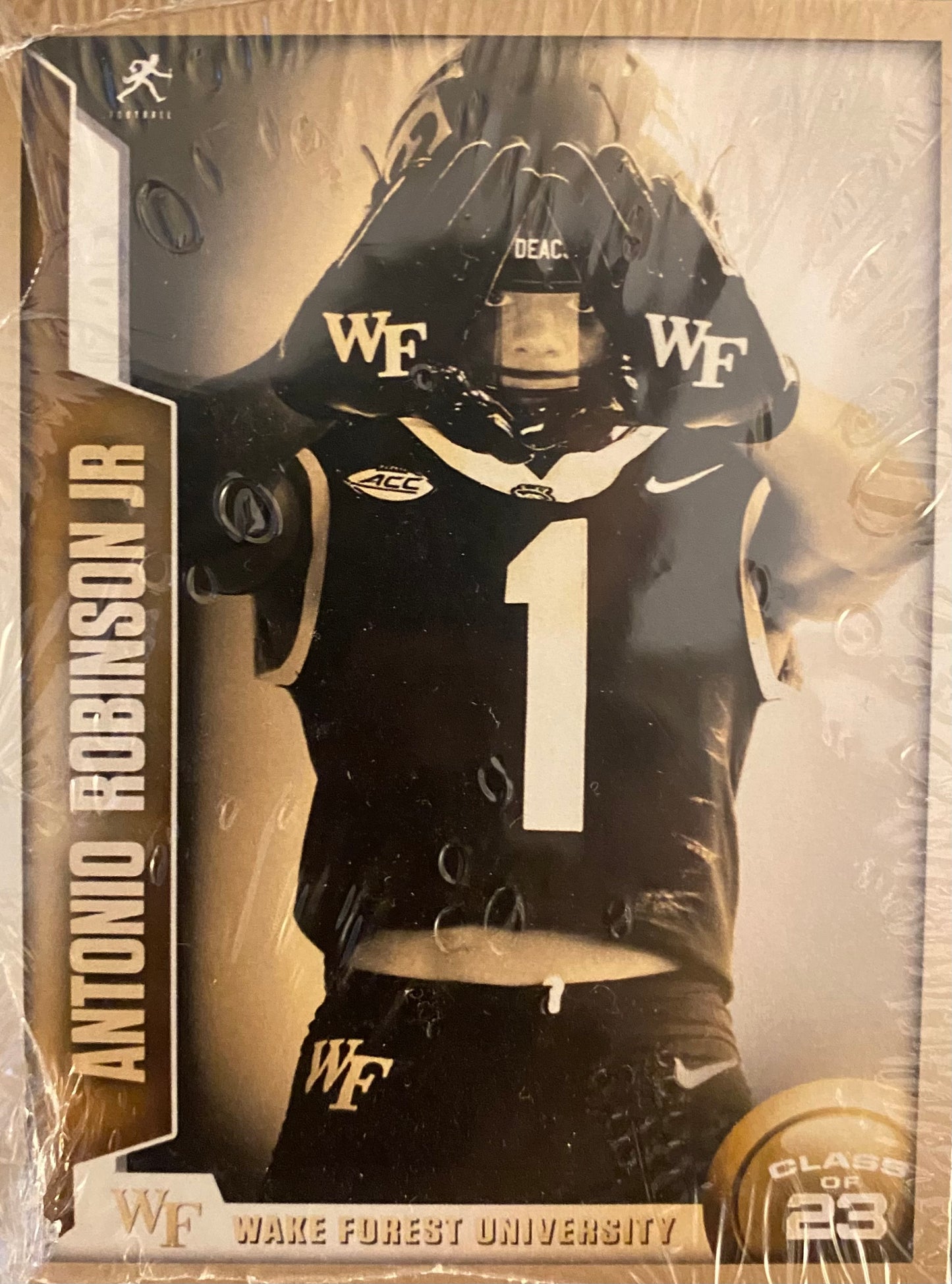 Wake Forest Football Card